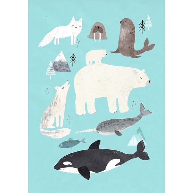 Petit Monkey ansichtkaart Artic animals