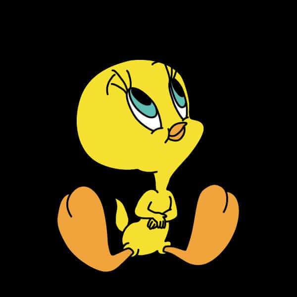 Looney Tunes Tweety Sitting Trui - Zwart - S