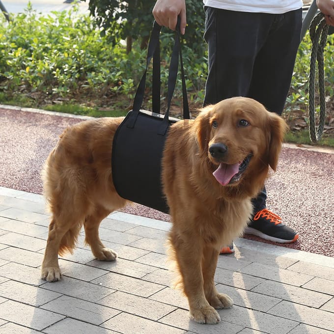 Til- en Ondersteuningsharnas met Handvat voor Honden Revalidatiehulp (S) black