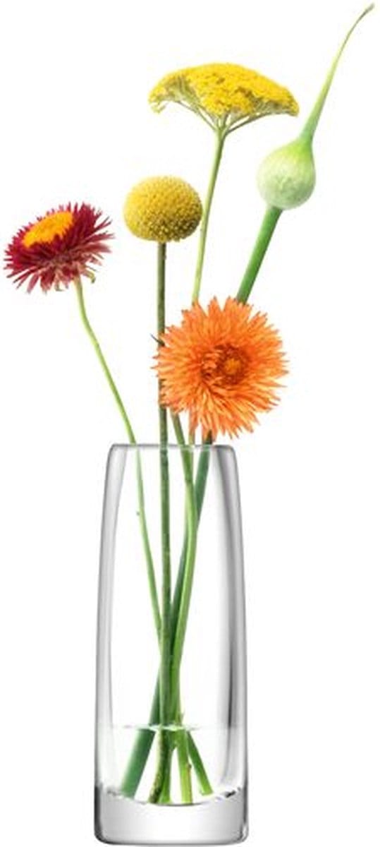 L.S.A. Stems Bud Vaas - Glas - 16 cm - Transparant