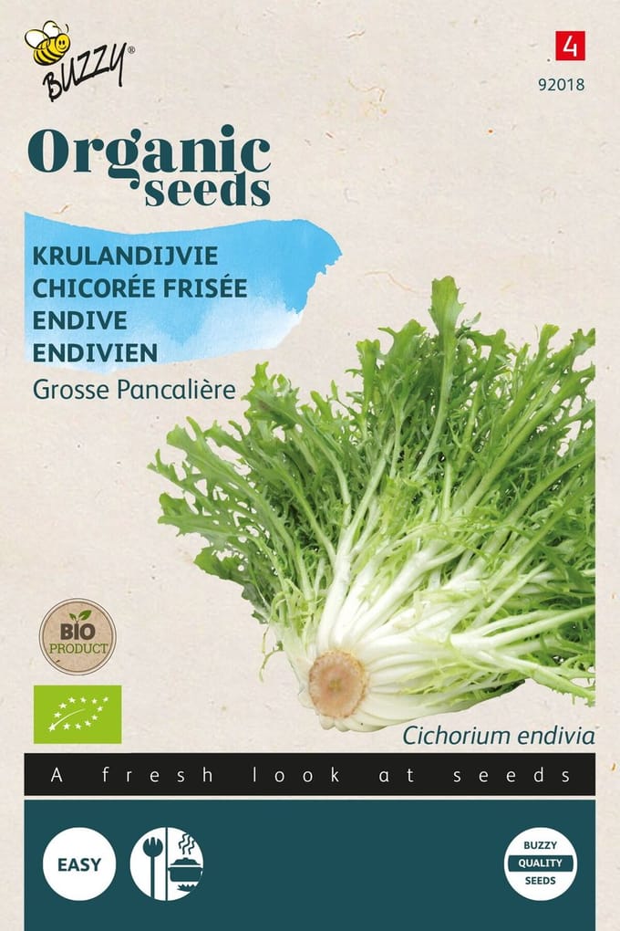 Buzzy® Organic Krulandijvie Pancalière (BIO)
