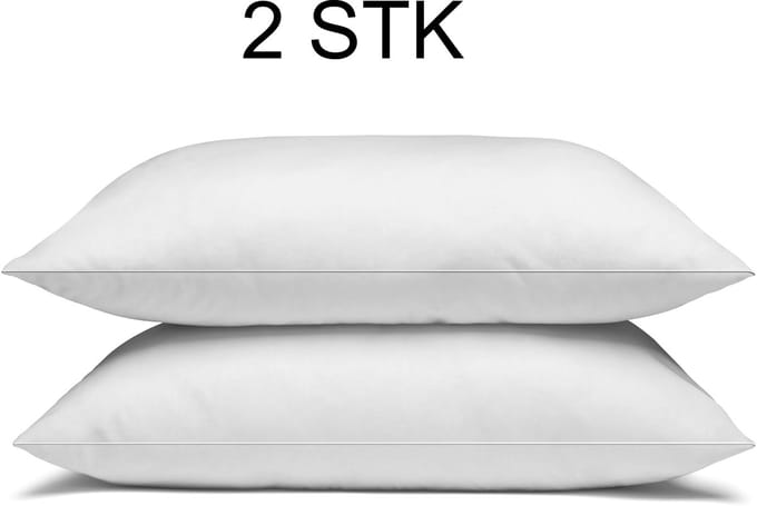 Dreamswan Eco Kussen - Set van 2 - Wit - 60x70cm