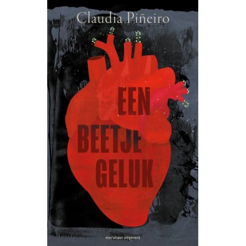 Een Beetje Geluk - Claudia Piñeiro