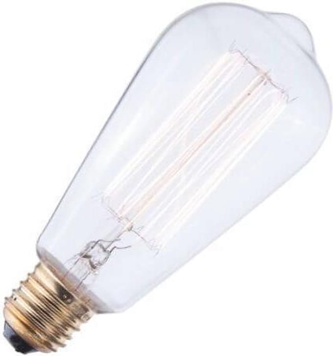 Schiefer E27 Edison Gloeilamp | 60W 2700K 240lm 220V/240V | Dimbaar