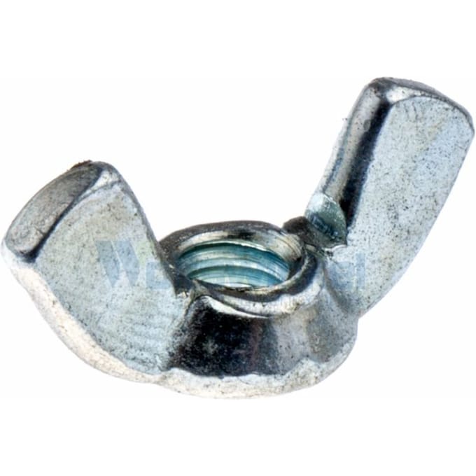 Wingnut