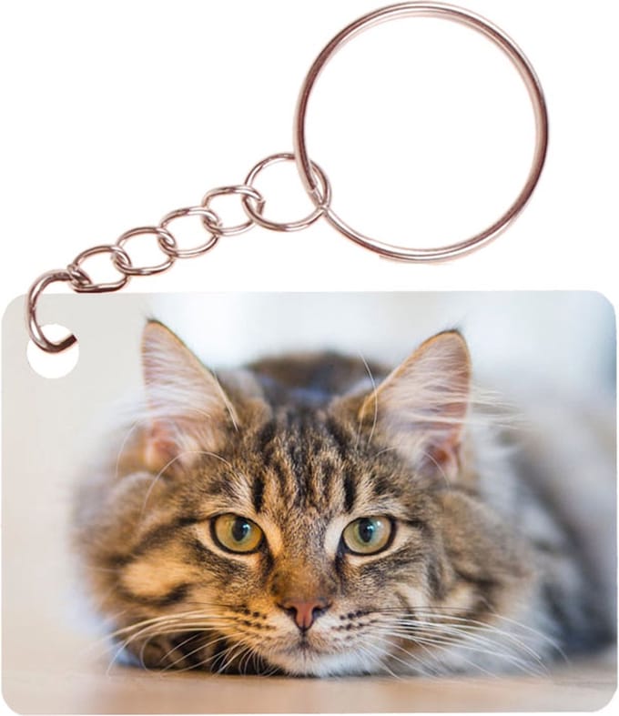 Sleutelhanger 6x4cm - Poes Liggend