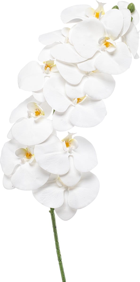 Emerald - Kunstbloem Phalaenopsis wit 100cm - Kunstplant voor binnen