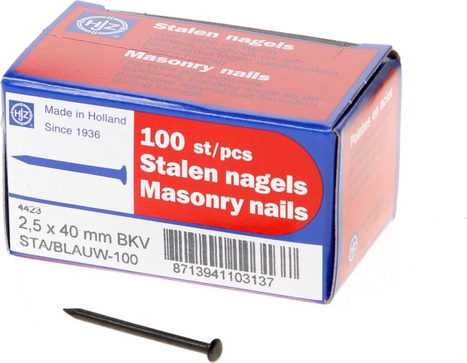 Hjz Stalen nagel bombe kop 40 x 2.5mm