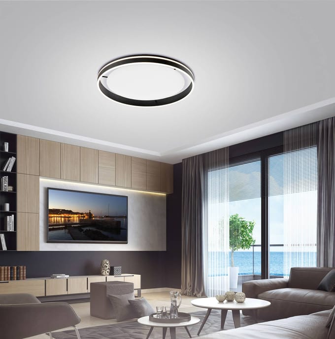 Q-Smart-Home Paul Neuhaus Q-VITO LED plafondlamp 79cm antraciet