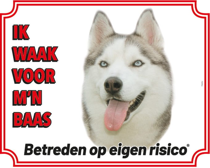 Siberian Husky Waakbord - Ik waak voor mijn baas