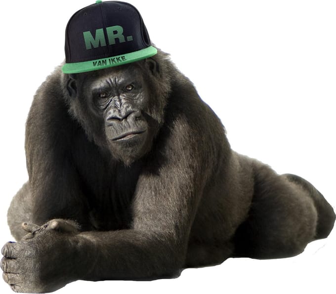 Muursticker Gorilla