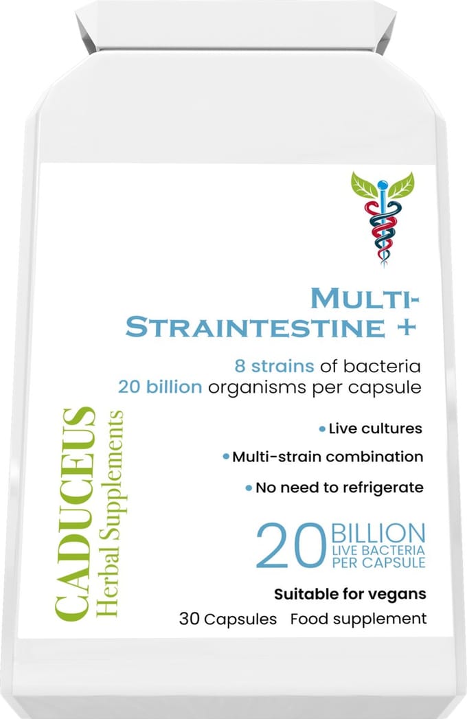 Multi-Straintestine 30 capsules