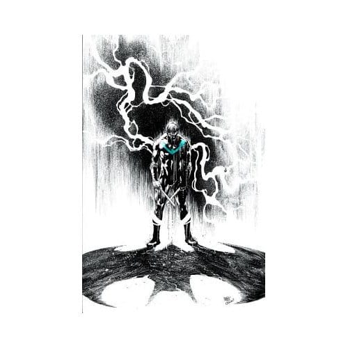 Nightwing Volume 4 - Tim Seeley