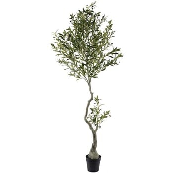 Kunstplanten Signes Grimalt Olijfboom L