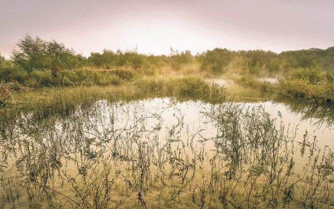 Fotobehang - Morning View II 400x250cm - Vliesbehang