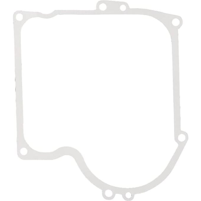 Briggs & stratton carterpakking