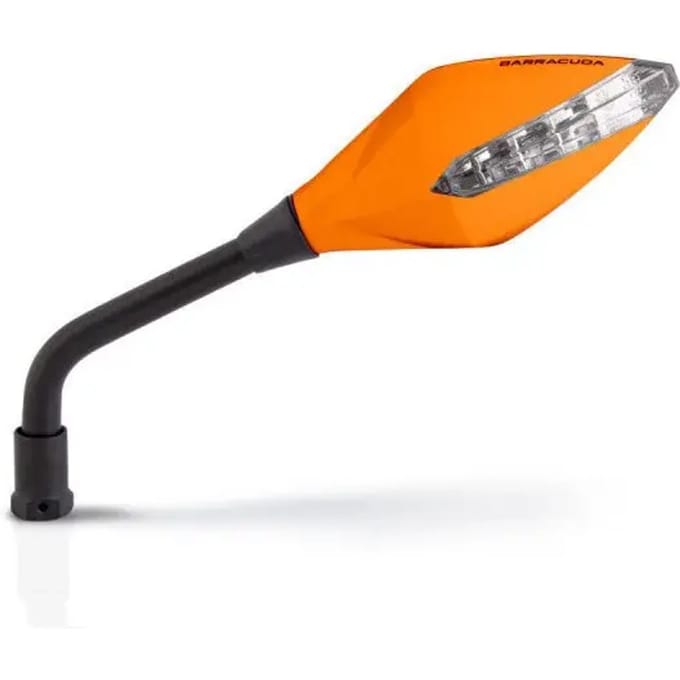 Paar knipperende motorspiegels Barracuda