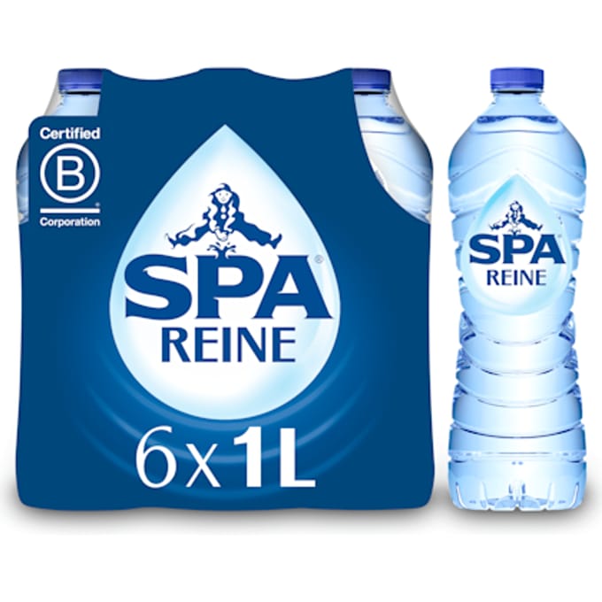 Spa Reine Natuurlijk Mineraalwater 6x1L