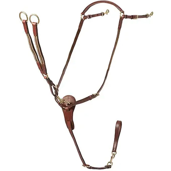 Jachtcollier voor paard met martingale Lexhis