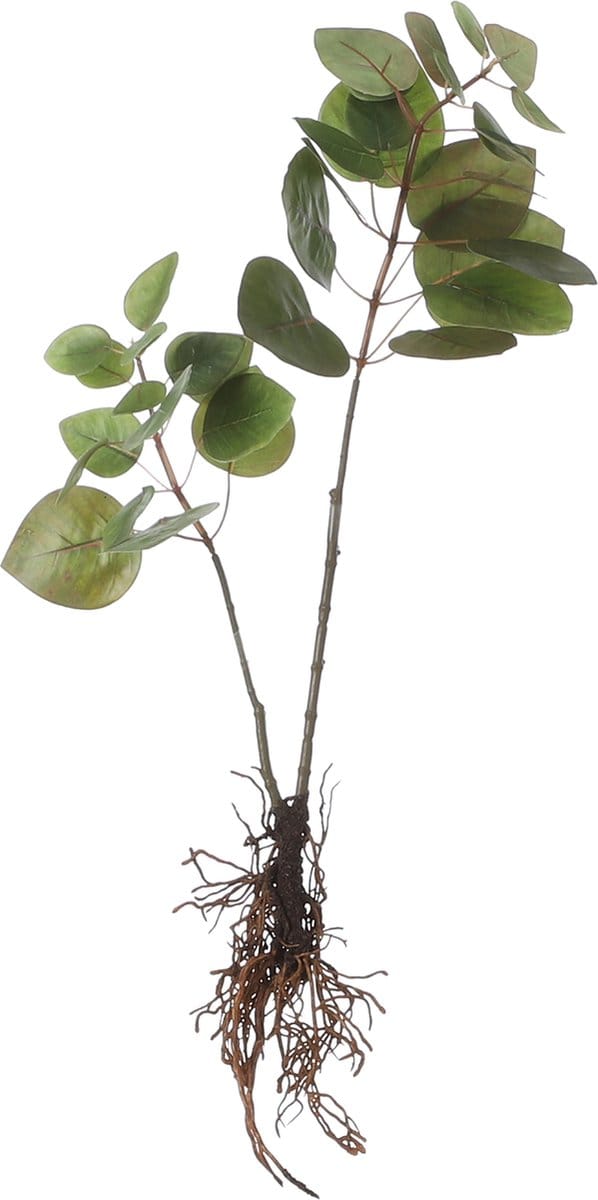 Mica Decorations - Eucalyptus Kunstplant - L12 x B28 x H64 cm - Groen