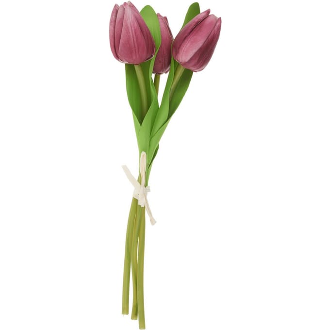 VBS Tulp "Tammie" - Rozig