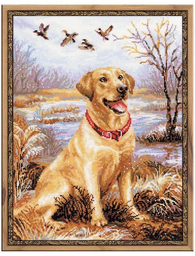 Riolis borduurpakket Labrador 1399