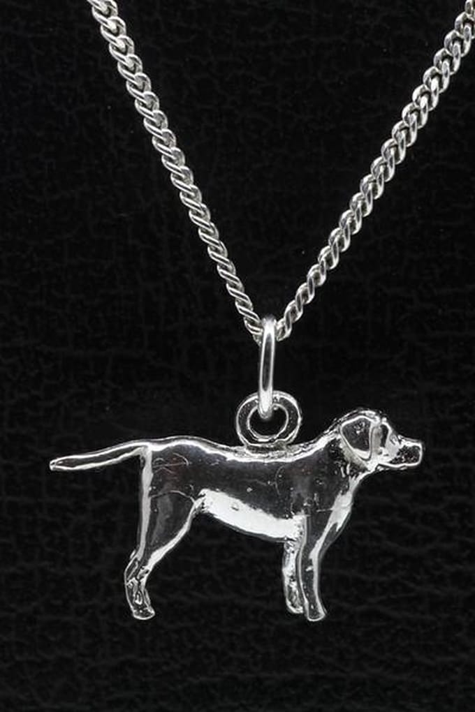 Zilveren Entlebucher sennenhond met staart ketting hanger - groot
