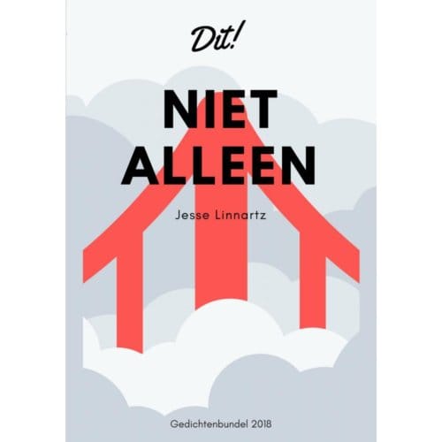 Niet Alleen - Jesse Linnartz