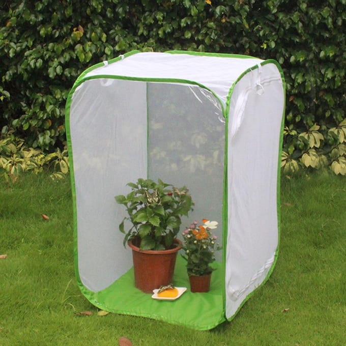 Opvouwbare Inklapbare Geventileerde Insectenkooi Lichtdoorlatende Mesh Kooi Rits Plantenhuis wit