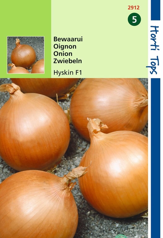 2 stuks - Hortitops - HT Uien Hyskin F1