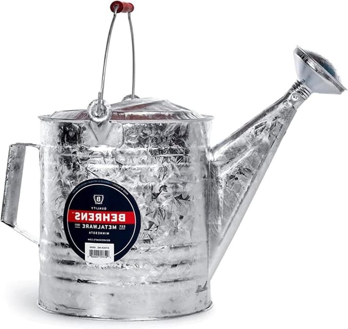 Behrens 210 2-1/2-gallon stalen gieter