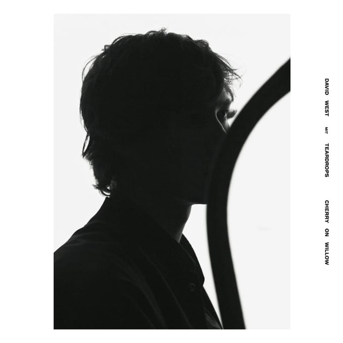 David West & Teardrops - Cherry On Willow (LP)