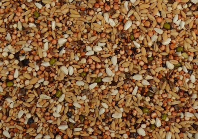 Uniestar Duivensnoepzaad 20 kg