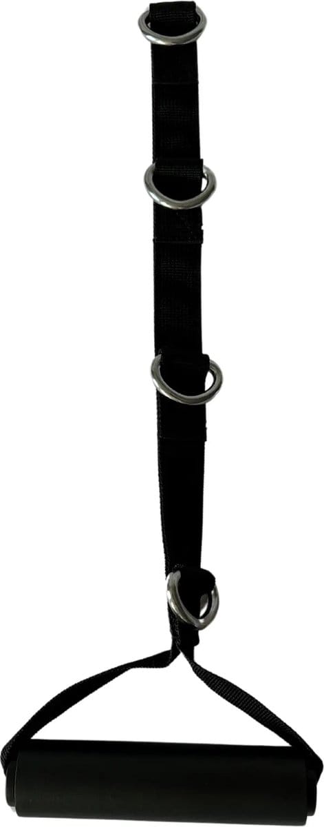 Inspire Multi-Ring D Handle