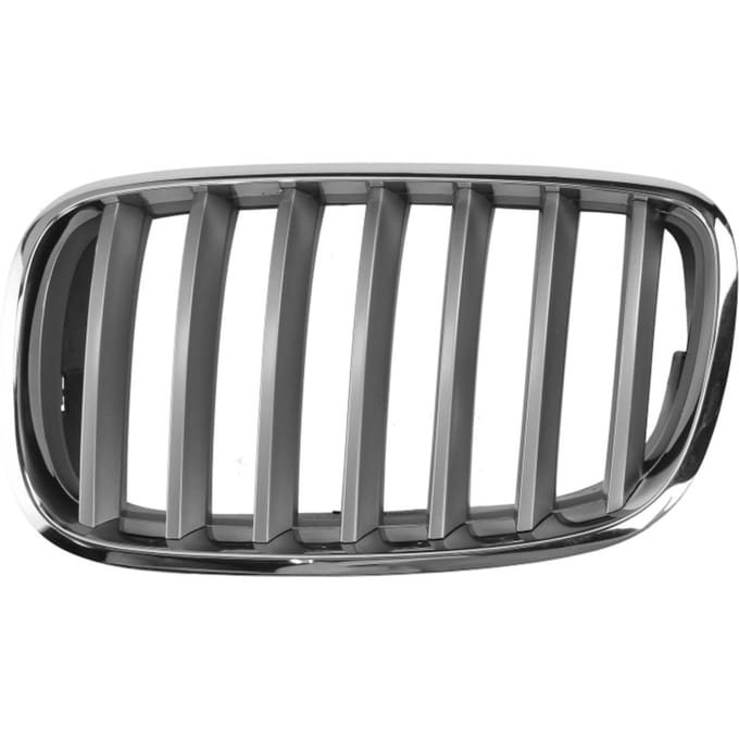Radiatorrooster BLIC 6502-07-0096991PP links