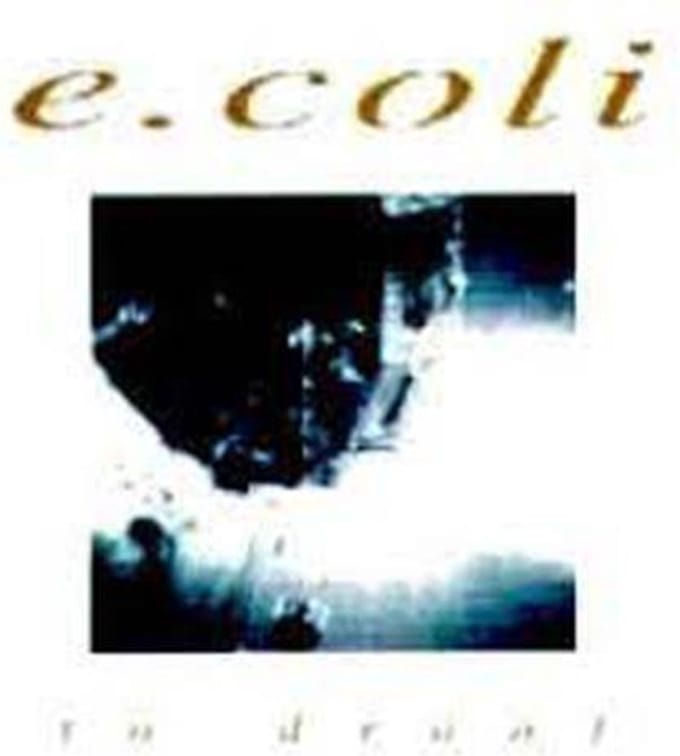 e.coli - To Drool (CD)