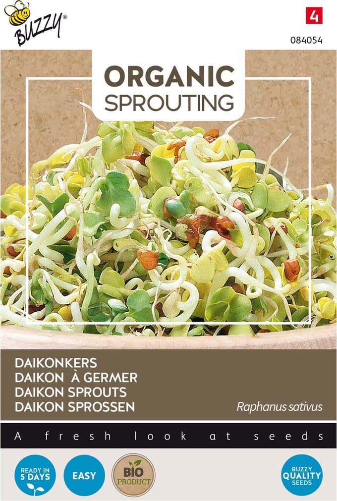 Buzzy® Organic Sprouting Daikonkers (BIO) - Knapperige microgreens met een frisse radijssmaak