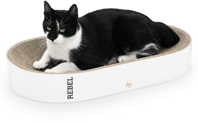 Petrebels Krabkarton voor Katten - Oliver 61 - Wit - Stevig Karton - Design Krabplank - 63 x 35 x 10 cm
