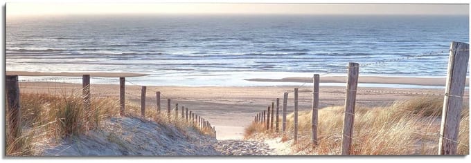 Schilderij Duinpad - 52 x 156 - Hout - REINDERS