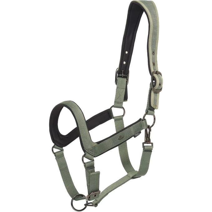 Halster voor paarden HV Polo Essential