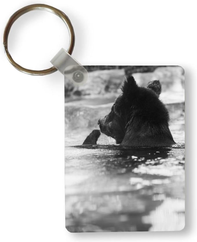 Sleutelhanger - Beer - IJs - Water - Uitdeelcadeautjes - Plastic