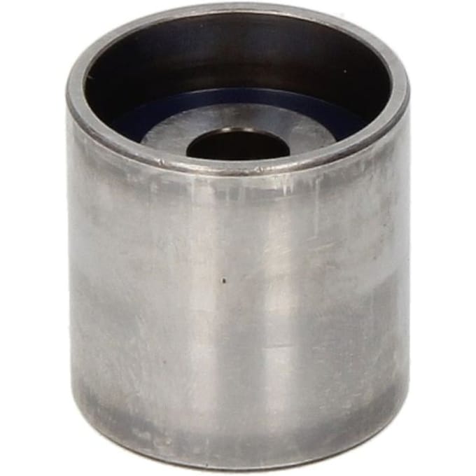 Geleiderol, distributieriem SKF VKM 21012
