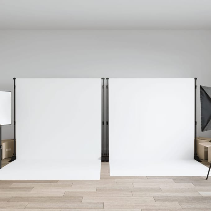vidaXL - Achtergrondstandaards - 2 - st - 305x243 - cm - staal - zwart