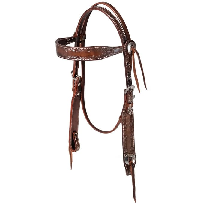 Hoofdstellen voor paarden Pool's