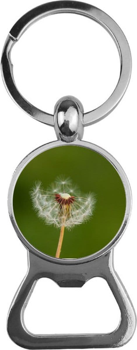 Bieropener Glas - Paardenbloem
