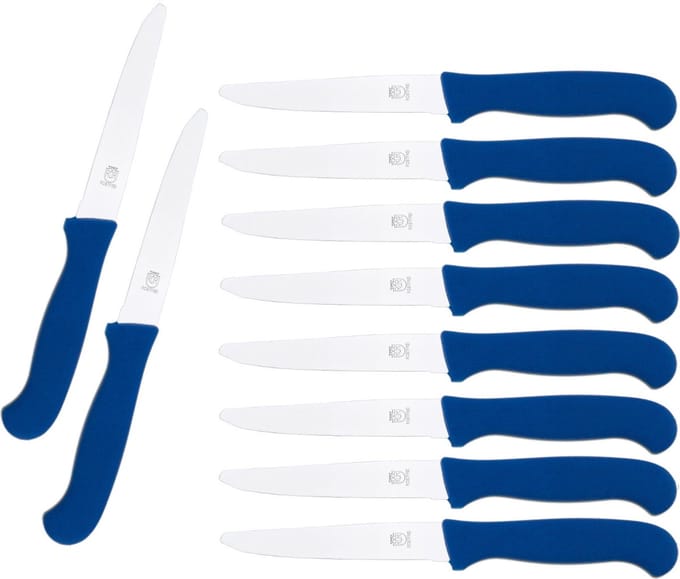 CS Solingen Tafelmes RVS - Blauw Kunststof - 10 stuks