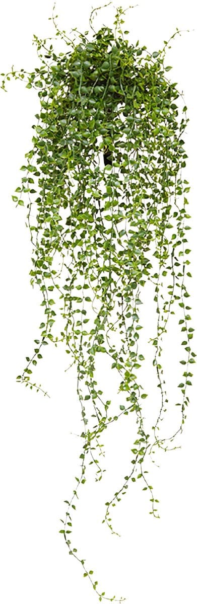 Callisia kunst hangplant 70cm - UV bestendig