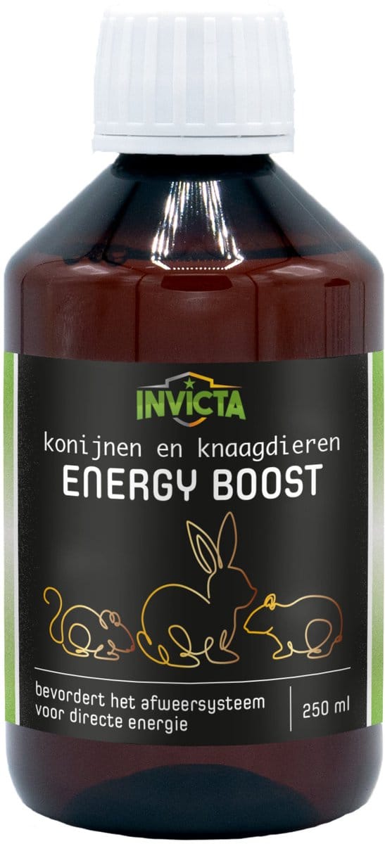 Invicta Energy Boost - Voedingssupplement - 250 ml