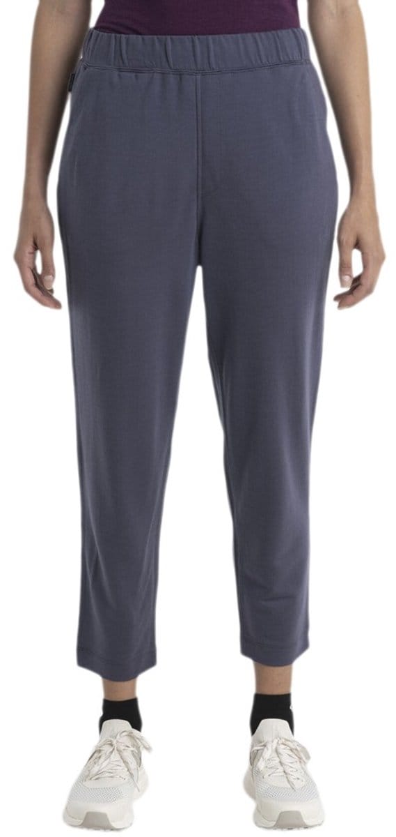 Icebreaker Merino Crush Ii Ankle Broek Grijs L Vrouw