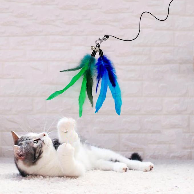 5 Pièces Jouets Plumes pour Chat Jouets Interactifs Teaser Plume de Rechange avec Clochette pour Chaton Chat Grattage Exercice Intérieur 8.3inch blue
